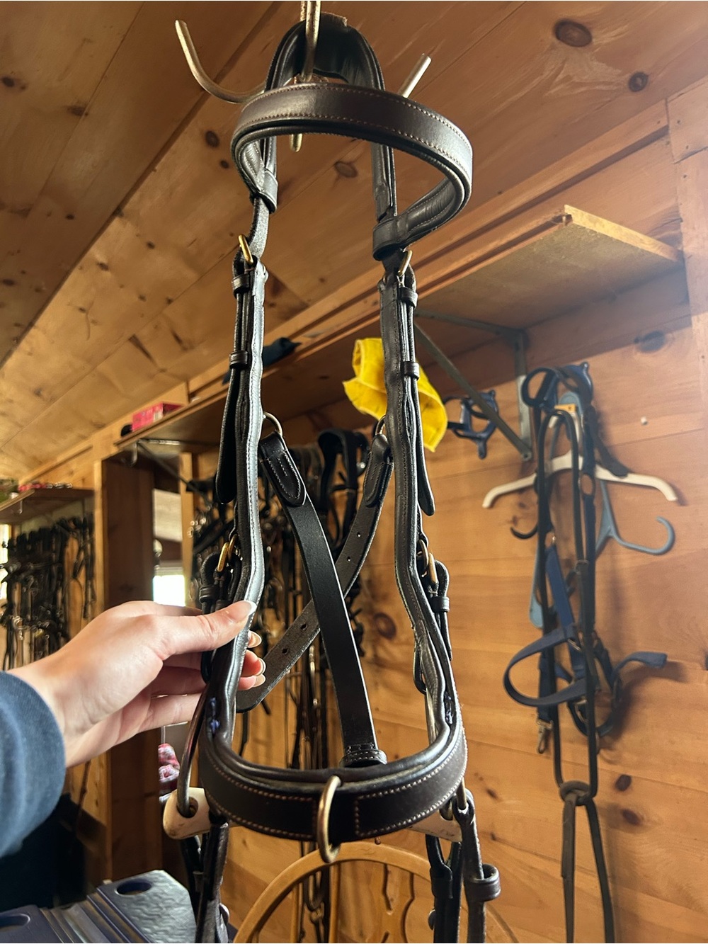 Brown Leather Bridle with Brass Hardware - Picture 2 of 7